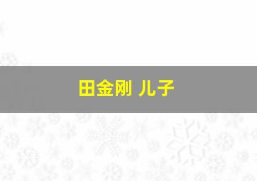 田金刚 儿子